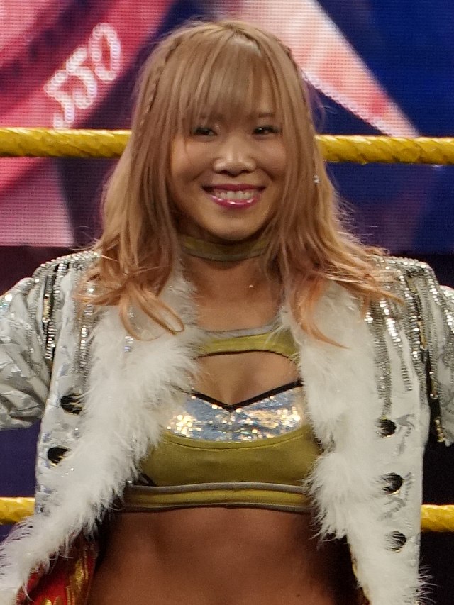 IYO SKY on X: I am the only women who had participated in every women's War  Games matches in WWE history. I know everything that goes on in the cage…  IYO SKY