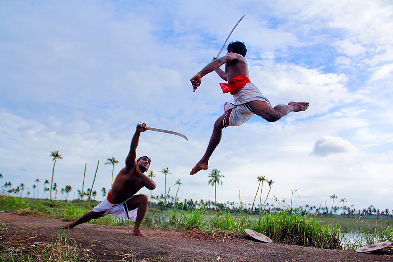 File:Kalaripayattu mock combat in rural Kerala.jpg