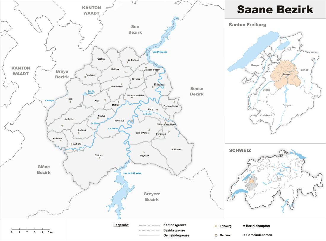 Saanebezirk