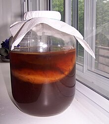 Kombucha culture fermenting in a jar, 2006 Kombucha jar.jpg