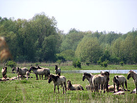 Natuurbescherming