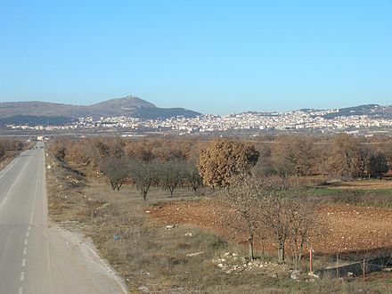View of Kozani from the south.