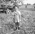 Kožarjeva najmlajša hči, Staro Apno 1964.jpg