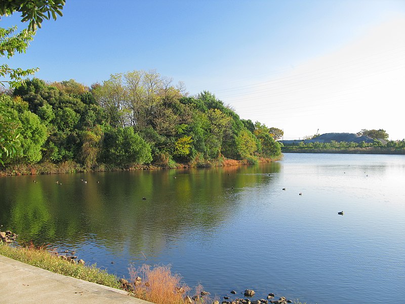 File:Kuki Kiyoku-Nishi Pond 2.JPG