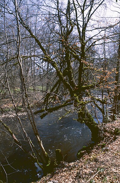 File:La Diege pres de Confolent, St-Pardoux-le-Vieux.jpg