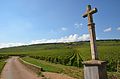 Lage La Tâche in Vosne-Romanée