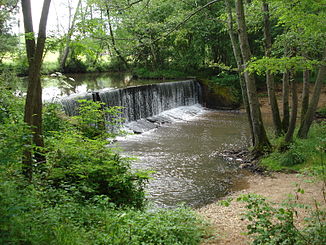 The river near the mouth