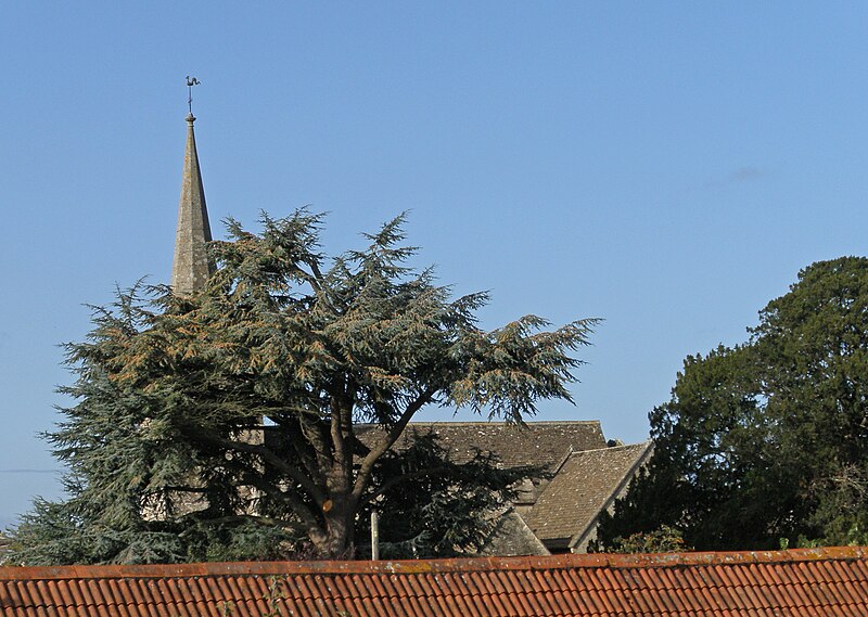 File:Lacock (48741935838).jpg