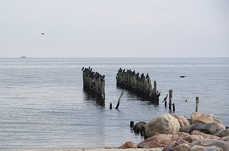 Lapmežciems "sedums" (former fishing boat piers) by RMazurs