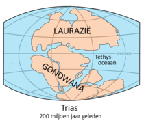 Laurazie-Gondwana NL.png