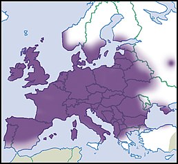 Мапа поширення виду