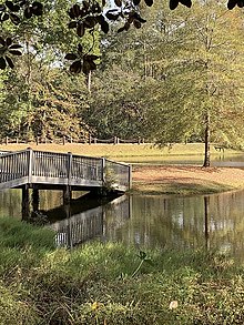 Lockerly Arboretum Pond and Bridge.jpg