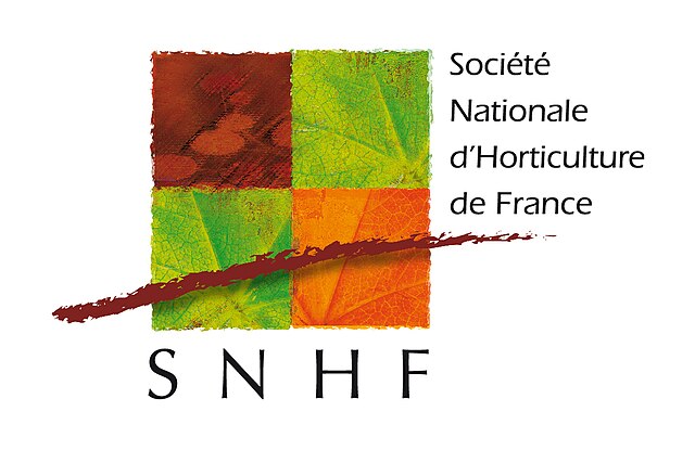 Saule pleureur - Société Nationale d'Horticulture de France