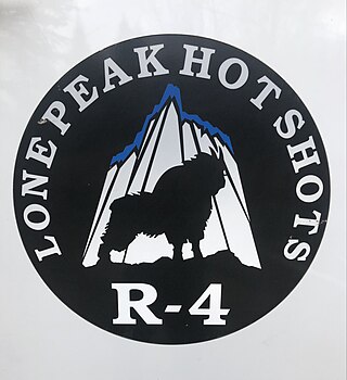 <span class="mw-page-title-main">Lone Peak Hotshots</span>