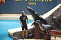 * Nomination Loro Parque's Sea Lion Show --AnatolyPm 10:23, 12 February 2015 (UTC) I like it, but I'm concerned the slide is overexposed. Mattbuck 22:33, 17 February 2015 (UTC) * Decline I'm going to go with my original concern - the bright slide is too distracting. --Mattbuck 22:18, 22 February 2015 (UTC)