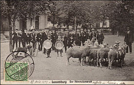 La Hämmelsmarch, carte postale de 1909.