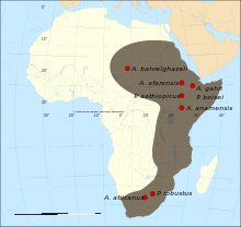 Map of the fossil sites of the early hominids (4.4-1M BP).svg