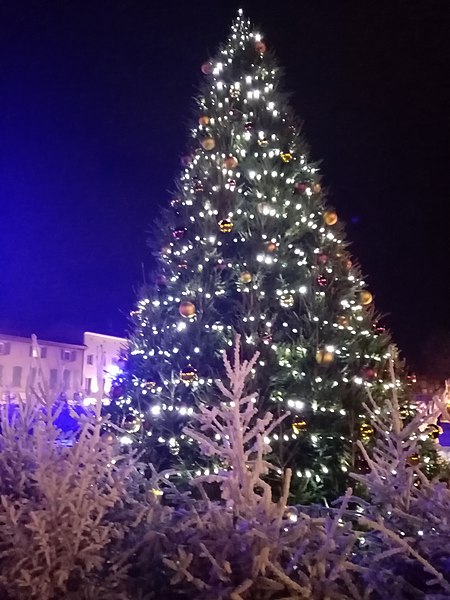 File:Marché de Noël à Castres 2021.jpg