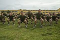 Marines-physical training.jpg