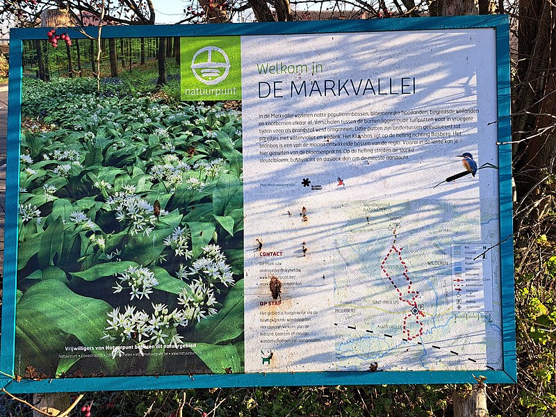 File:Markvallei Natuurpunt 4.jpg