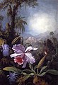 Martin Johnson Heade - Orchids, Passion Flowers and Hummingbird (15014690837).jpg