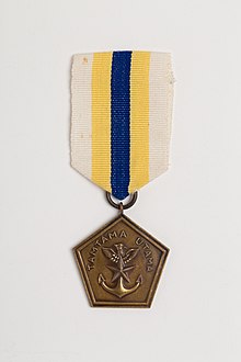 Medal, campaign (AM 806908-1).jpg