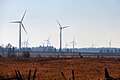 Amaranth Wind Farm