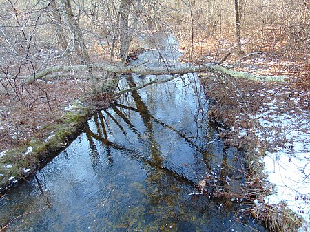 Merrick Brook