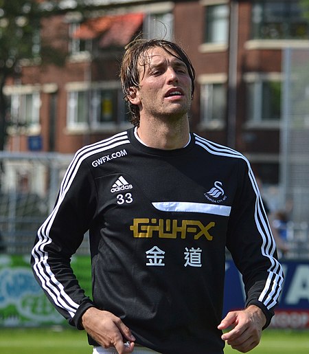 Michu 2013.jpg