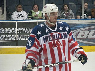 <span class="mw-page-title-main">Mike York</span> American ice hockey player