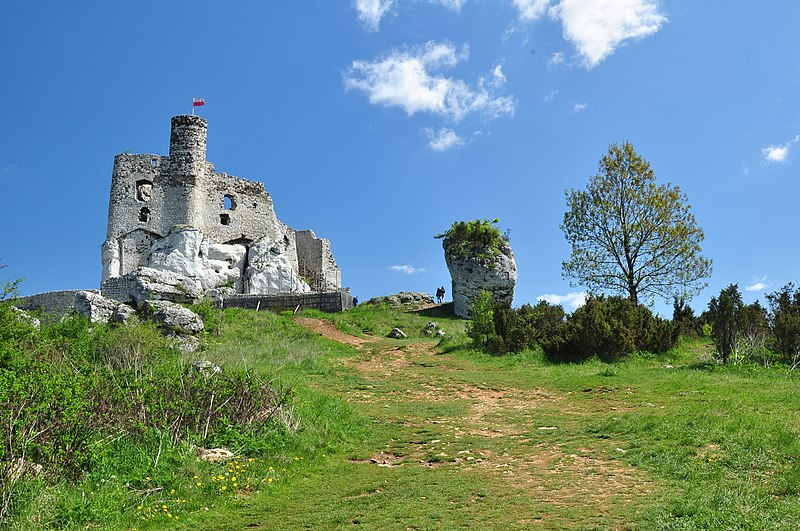 File:Mirów ruiny zamku by Anna Kowalska 3.JPG