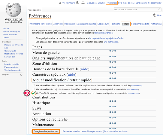 Fig. 8. Activation du gadget « HotCatsMulti » dans les préférences.