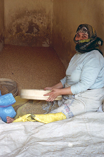 File:Morocco-113 (2219046412).jpg