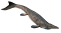Mosasaurus um lagarto marinho
