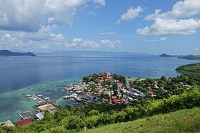 Municipality of Culion outlook from local hillside.jpg