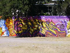 Mural de Dragon Ball Z en una calle de Aguascalientes 11.jpg