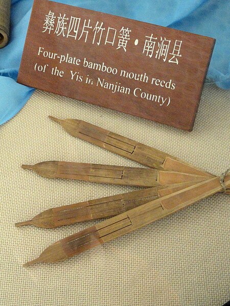 File:Musical instruments in the Yunnan Nationalities Museum - DSC03892.JPG