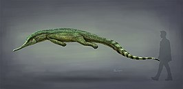 Mystriosuchus