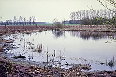 ND "Teich" (field name: "Auf dem Hoffehne")