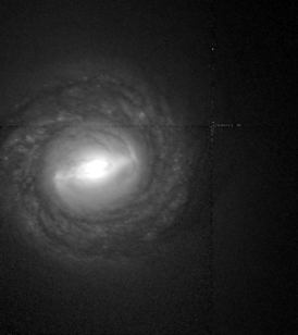 NGC 1317-HST05446 4s-606.png