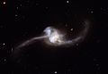 Arp 243 (NGC 2623)