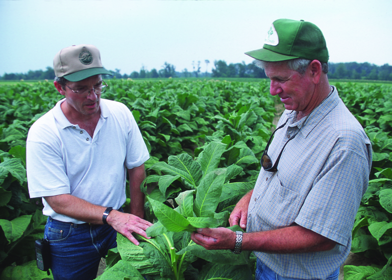 File:NRCSNC00001 - North Carolina (5111)(NRCS Photo Gallery).tif