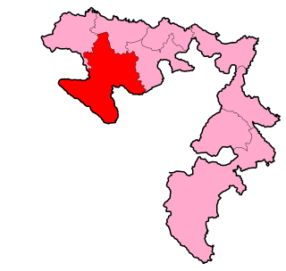 <span class="mw-page-title-main">3rd Electoral Unit of Republika Srpska (NSRS)</span> Parliamentary constituency