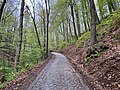 Миниатюра для Файл:Nationalpark Sächsische Schweiz Mühlenweg lub 2024-04-27.jpg