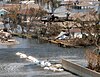 Damage from Hurricane Katrina in 2005