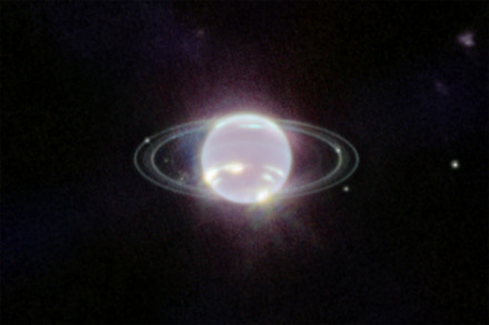 Neptune's rings and moons viewed in infrared by the James Webb Space Telescope