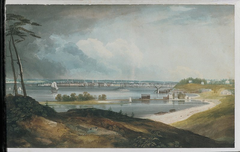 File:New York from the Heights near Brooklyn MET APS1481.jpg