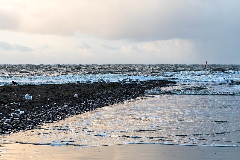 File:Norderney, Weststrand -- 2018 -- 1114.jpg