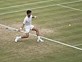 Novak Djokovic (35283650283).jpg