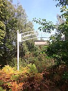 2019, nowy Zyzdrój - cemetery